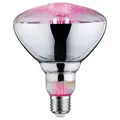Produktbild: Paulmann 28737 Pflanzenlampe Plant PAR38 E27 6,5W für besseres Pflanzenwachstum