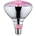 Produktbild: Paulmann - Led-pflanzenlampe Wachstum 230 V E27 6.5 W Bernstein 1 St.