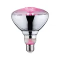 Produktbild: Paulmann 28737 LED Lampe Pflanzenlicht 6,5W Leuchtmittel Wachstumslicht Beleuchtung Glas Licht 1300 K E27