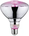Produktbild: Paulmann LED-Pflanzenlampe Wachstum 230V E27 6.5W Bernstein 1St.
