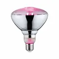 Produktbild: Paulmann LED Filament Plant PAR38 - 6,5 W E27 Reflektor Wachtumslicht klar