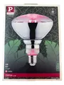 Produktbild: Paulmann 28737 6,5 Watt LED-Pflanzenlampe, Glasfassung, 1300 K, E27, 6,5 W, 1 St