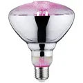 Produktbild: Paulmann LED-Pflanzenlampe Wachstum   230 V E27 6.5 W  Bernstein   1 St.