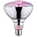 Produktbild: Paulmann LED-Pflanzenlampe Wachstum 230 V E27 6.5 W Bernstein 1 St.