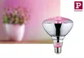 Produktbild: Paulmann Grow Green Edition LED Reflektor Filament E27 230V  PAR38 6,5W 1300K