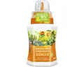 Produktbild: Kakteendünger Compo 250 ml