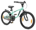 Produktbild: Löwenrad Kinderfahrrad für Jungen und Mädchen ab 6 Jahre | 20 Zoll Kinderrad mit Bremse | Fahrrad für Kinder | Mint