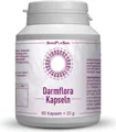 Produktbild: Darmflora Probiotikum Kapseln 60 St