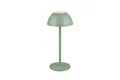 Produktbild: Reality Leuchten Smarte LED-Leuchte Reality Leuchten Tischleuchte RICARDO LED AKKU DH 13.50x30 cm grün, Warmweiß