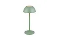 Produktbild: Reality Leuchten Tischleuchte RICARDO LED AKKU DH 13.50x30 cm grün Tischlampe