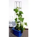 Produktbild: Gurkenturm 120 Cm Hoch Spalier Rankhilfe Rankgitter - Bellissa