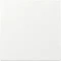 Produktbild: Gira Wippe Flächenschalter 329670 Reinweiss (329670)