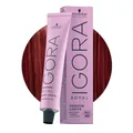 Produktbild: Schwarzkopf Igora Royal Fashion L-88 Extra Rot 60ml - Permanente Färbung