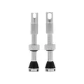 Produktbild: Paar Tubeless Ventile MK2 42mm Kompatibel Mit Silbernen Einsätzen PY-TV2-4