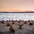 Produktbild: A Day at the Beach