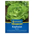 Produktbild: Saatgut, Kopfsalat 'Analena'
