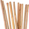 Produktbild: UNUS® Bambusstäbe 100 Stück , Rankstäbe, Pflanzenstäbe Bambus 150cm naturfarbend - Braun