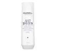 Produktbild: Goldwell Dualsenses Just Smooth Taming Shampoo  250 ml