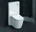 Produktbild: Weißglas Sanitärmodul für Stand-WC inkl. Betätigungsplatte