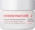 Produktbild: ANNEMARIE BÖRLIND ENERGYNATURE Regenerierende Nachtcreme 50 ml