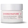 Produktbild: ANNEMARIE BÖRLIND Energynature Regenerierende Nachtcreme