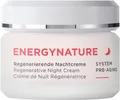 Produktbild: ANNEMARIE BÖRLIND ENERGYNATURE Regenerierende Nachtcreme 50 ml
