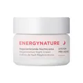 Produktbild: ANNEMARIE BÖRLIND ENERGYNATURE SYSTEM PRE-AGING Regenerierende Nachtcreme (50 ml) - Pre-Aging Nachtpflege, Pflegt & Belebt die Haut, Wirkt Hautalterung Entgegen, Vegan