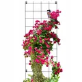 Produktbild: KADAX Rankgitter, Rankhilfe aus Stahl, Wandgitter, schwarz 65x170 cm