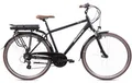 Produktbild: Schiano Ride E-Bike Trekking 28 Zoll 21-Gang 374 Wh schwarz