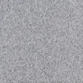 Produktbild: Terrassenplatte Granit 40 x 40 x 2 cm grau  Terrassenplatte