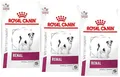 Produktbild: (EUR 11,54/kg)  Royal Canin Veterinary Diet Canine Renal Small Dogs 3 x 1,5 kg