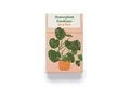 Produktbild: Houseplant Gardener in a Box von Perrone, Jane | Buch | Zustand gut