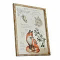 Produktbild: Loberon Dekoboard Survie, Naturgetreue Fuchsillustration, White-Washed-Finish, Wanddekoration, Wandbild, Kiefernholz Eisen, bunt