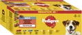 Produktbild: PEDIGREE DOGCARE Hundefutter Portionsbeutel Chunks in Gelee Adult 40 x 100g