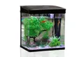 Produktbild: nobleza Aquarien-Set Mini Aquarium Komplettset Aquarien-Set 7L