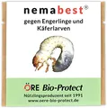Produktbild: nemabest® HB Nematoden für 50m² (25 Mio.) gegen Engerlinge und Käferlarven vom Gartenlaubkäfer, Junikäfer, Maikäfer u. a.