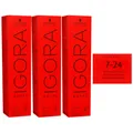 Produktbild: Schwarzkopf Igora Royal 3 x 60 ml 7-24 mittelblond asch beige Haarfarbe Cremefar