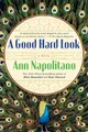 Produktbild: Ann Napolitano A Good Hard Look (Taschenbuch) (US IMPORT)