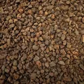 Produktbild: Dennerle Nano Algen Stop