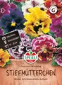 Produktbild: Sperli Stiefmütterchensamen Germania-Mischung 87006 - Zweijährig - Kübelgeeignet - Herbst- & Frühjahrsblüte - duftend - Saatgut, Blumensamen Mischung
