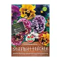 Produktbild: Blumensamenmischung, Stiefmütterchen 'Germania'