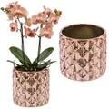 Produktbild: botle Keramik Blumentopf übertopf mit Roségold Spiegeleffekt Ø13,5cm für Zimmerpflanzen glänzende Struktur Hochglanz Glamour