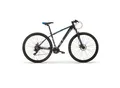 Produktbild: MBM Mountainbike 29 Zoll LOOP DISC