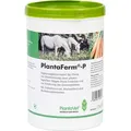 Produktbild: PlantaFerm-P 1,2kg