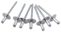 Produktbild: Dresselhaus Blindniete Blindniete 4,8 x 12,0 mm Aluminiumstahl, F