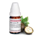 Produktbild: DHU Nux vomica D6 Streukügelchen, 10 g Globuli