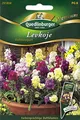Produktbild: Levkoje, Duftbouquet, Matthiola incana, ca. 60 Samen
