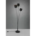 Produktbild: Trio R46333979 Leuchte Tommy 3x40w | E14 - Fußschalter, schwarz