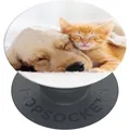 Produktbild: PopSockets PopGrip Basic Cat & Dog (70082)
