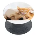 Produktbild: ORIGINAL PopSockets Handyhalterung Fingehalter Popsocket Basic  Cat & Dog
